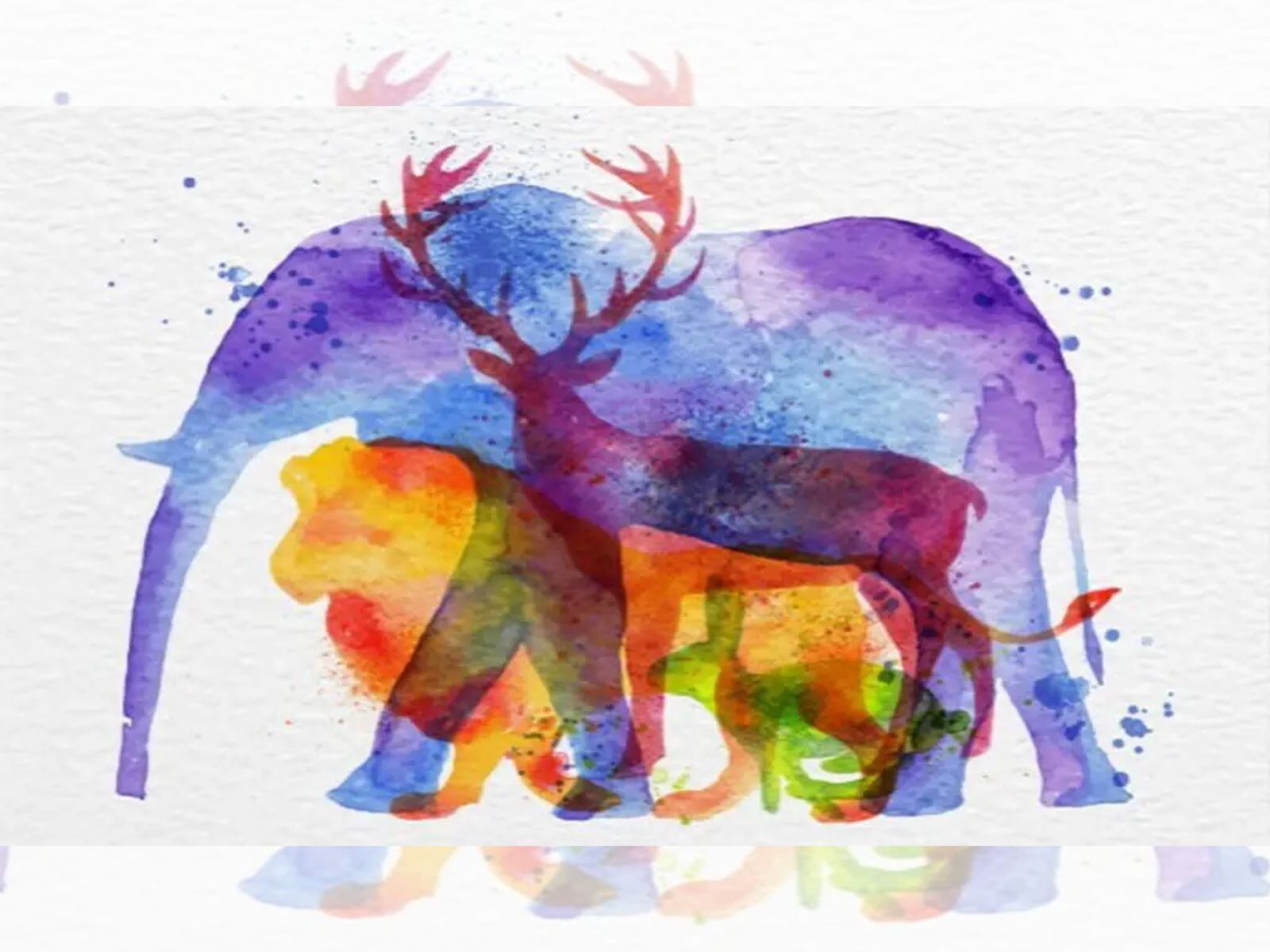 TEST VISUAL | Distintas siluetas de animales se esconden en esta prueba mental. (Foto: Namastest)