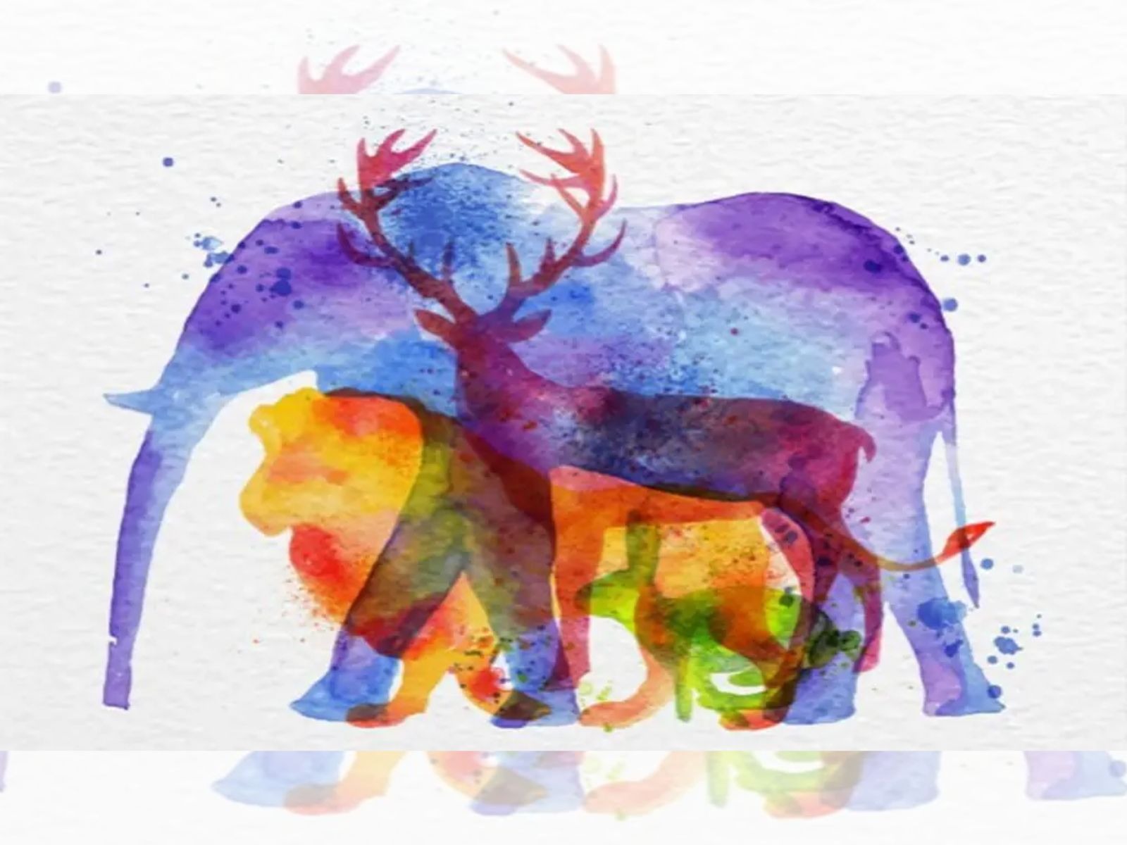 TEST VISUAL | Distintas siluetas de animales se esconden en esta prueba mental. (Foto: Namastest)