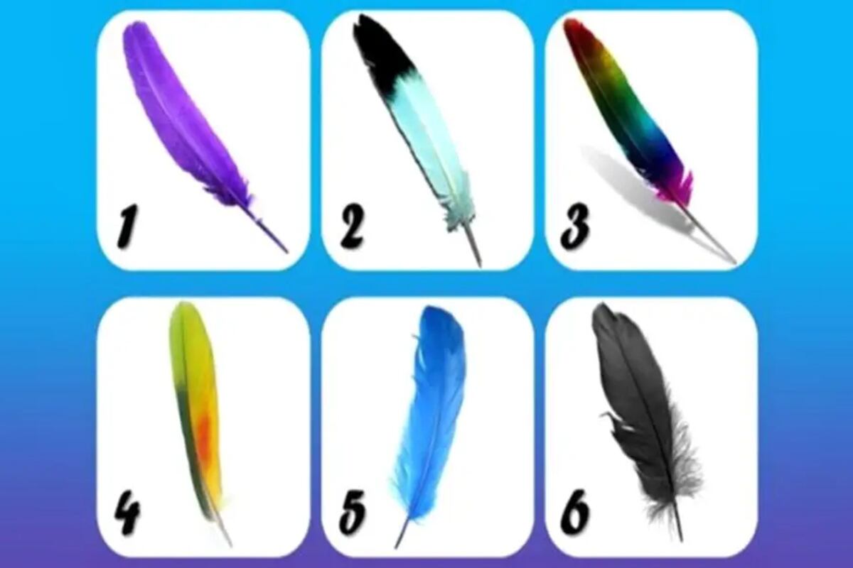 TEST VISUAL | Esta ilustración te muestra seis plumas de distintos colores. Debes escoger tu favorita. (Foto: namastest.net)
