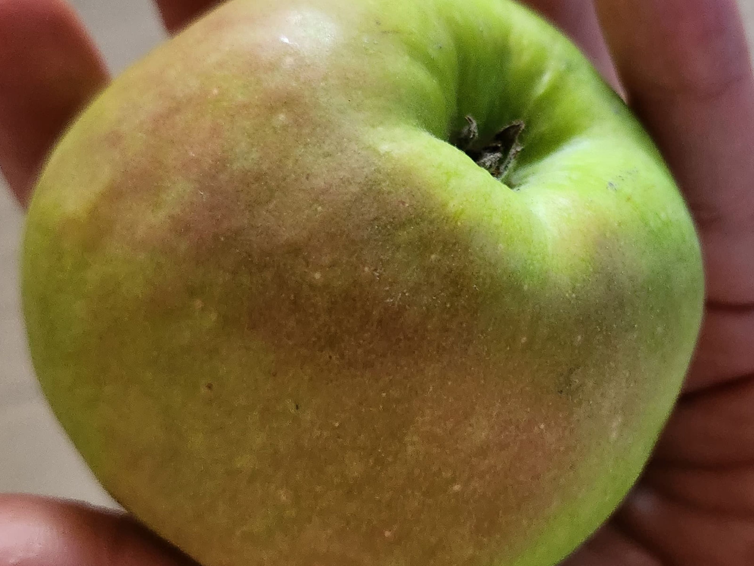 Una manzana. (Foto: Depor)