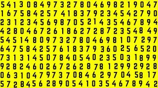 ¿Tienes visión de rayos X? Encuentra el número 22 en 15 segundos