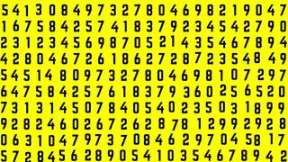 ¿Tienes visión de rayos X? Encuentra el número 22 en 15 segundos