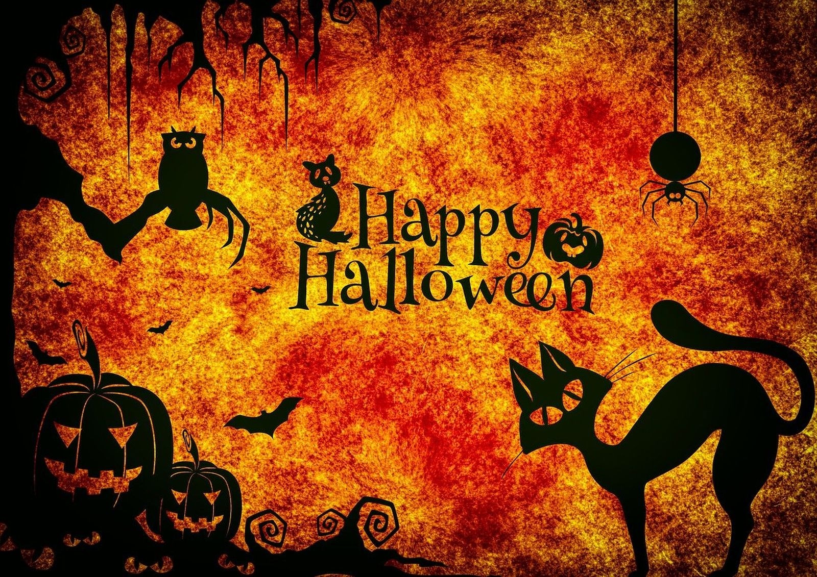 FRASES DE HALLOWEEN | Usa una de estos mensajes para enviarlo a tus amigos o conocidos este 31 de octubre. (Foto: Alexa / Pixabay)