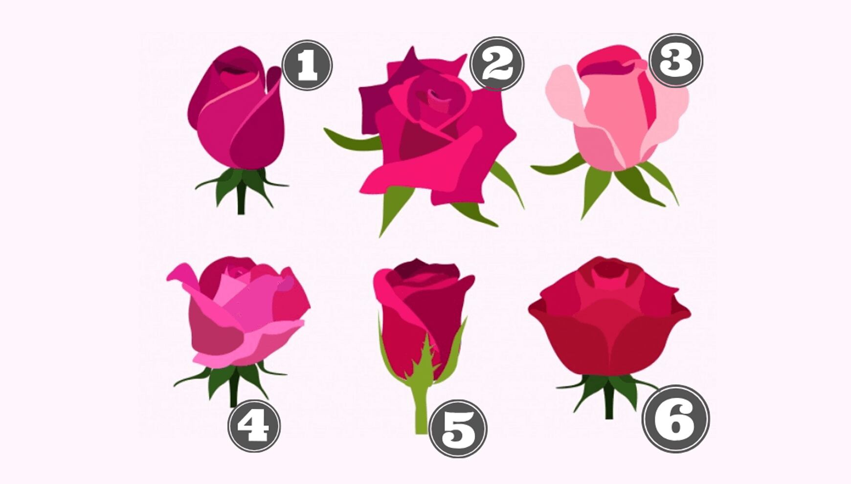 TEST DE PERSONALIDAD | Elige la que más te atraiga y descubre aspectos únicos de tu personalidad.