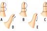 El tamaño de tu dedo pulgar revelará qué tipo de persona eres y cómo piensas