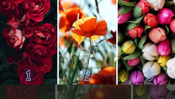 TEST VISUAL | Uno de los regalos más comunes son las flores, debido a su elegancia y buen aroma. (Foto: Namastest)