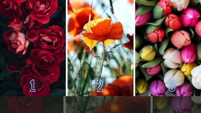 Tu verdadera personalidad será revelada si eliges una de estas flores