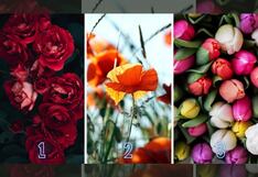 Tu verdadera personalidad será revelada si eliges una de estas flores
