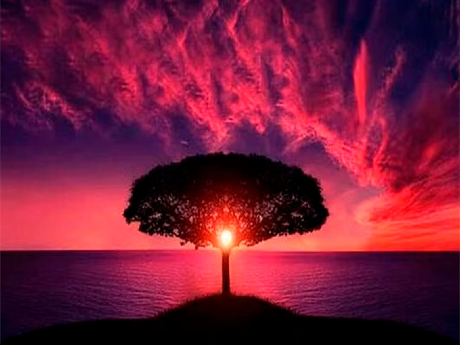 Solo contesta cuál fue el elemento que se apoderó de tu atención y conocerás los resultados del test visual.| Foto: namastest