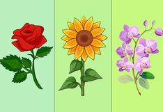 La flor que elijas revelará el camino que te llevará a cumplir tus sueños más grandes