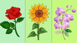 La flor que elijas revelará el camino que te llevará a cumplir tus sueños más grandes