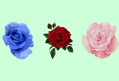 Choose one of the roses in this image to discover who your ideal partner would be