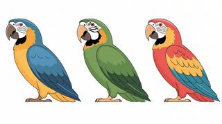 Escoge uno de los loros en esta imagen para conocer si eres una persona alegre