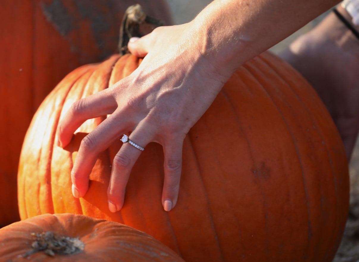 La calabaza es una hortaliza muy consumida en el mundo (Foto: AFP)