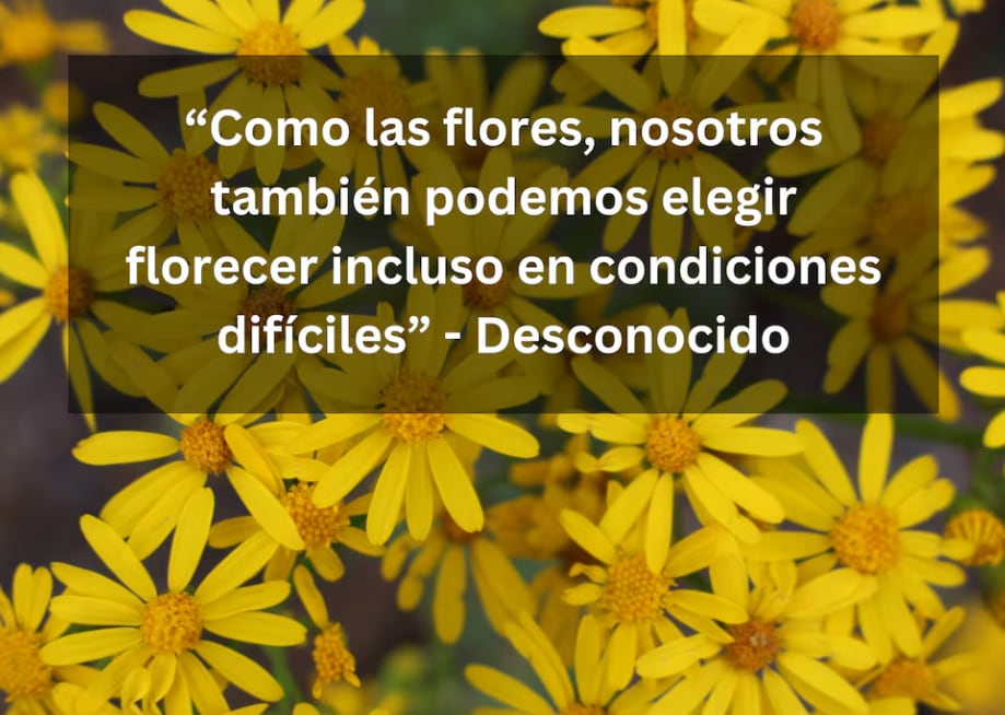 “Como las flores, nosotros también podemos elegir florecer incluso en condiciones difíciles” - Desconocido | Foto de aaron farris en Unsplash / Composición Depor.