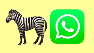 ¿Qué significa el emoji de la cebra en los estados de WhatsApp?