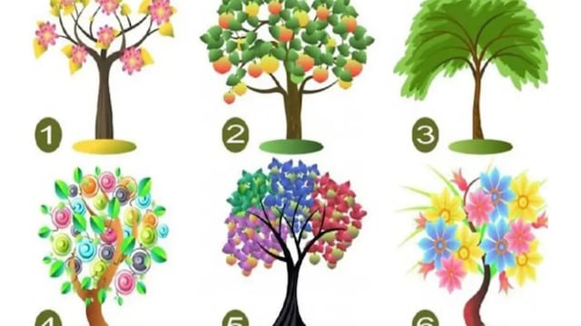 El árbol que te gustaría plantar en tu jardín revelará cómo eres