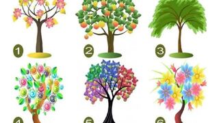 El árbol que te gustaría plantar en tu jardín revelará cómo eres