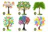El árbol que te gustaría plantar en tu jardín revelará cómo eres