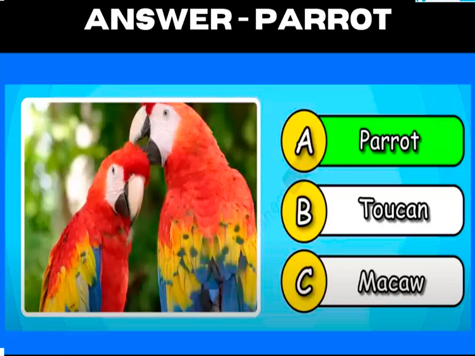 Aquí te mostramos la solución del desafío visual. El ave que se oculta en la imagen es un loro.| Foto: fresherslive