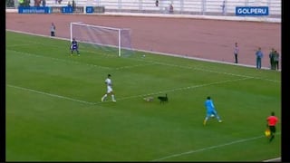 Ya no uno, sino dos perros se metieron a la cancha en el partido entre Alianza Lima y Binacional [VIDEO]