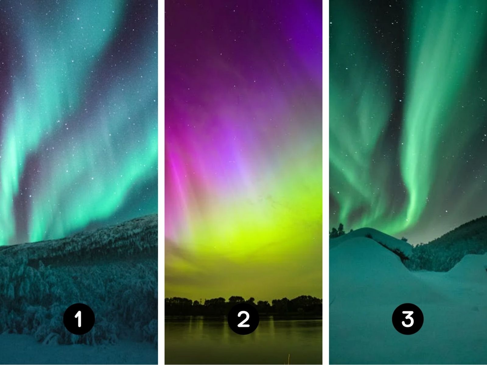 TEST VISUAL | Dos minutos será suficientes para desarrollar esta prueba mental. (Foto: Composición Freepik / Depor)