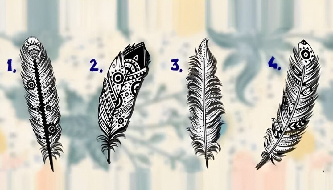 Descubre cuál es tu misión en la vida según la pluma que elijas en esta imagen (Foto: Namastest).