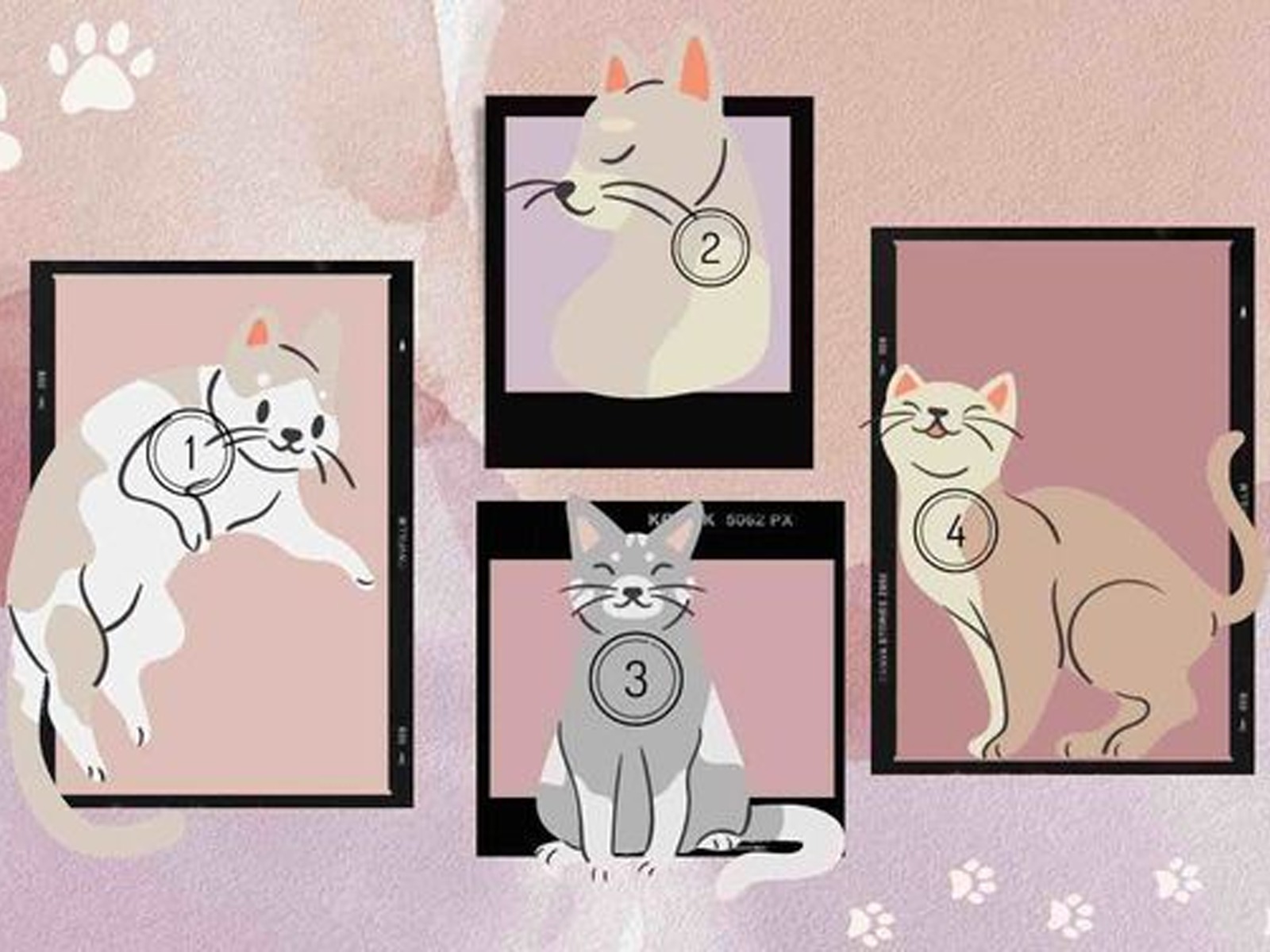 Observa atentamente los diferentes gatos de la imagen y selecciona el que más te guste. Luego, descubre qué aspecto de tu personalidad oculta revela tu elección. (ilgranata.it)