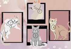 Elige el gato que más te guste y descubre un lado oculto de tu personalidad