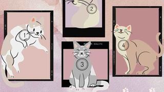 Elige el gato que más te guste y descubre un lado oculto de tu personalidad