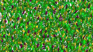 Desafío visual: encuentra la rana oculta entre las hojas en menos de 11 segundos