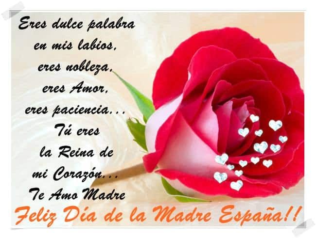 Las mejores imágenes para tu mamá por el Día de las Madres 2024. (Foto: Internet).