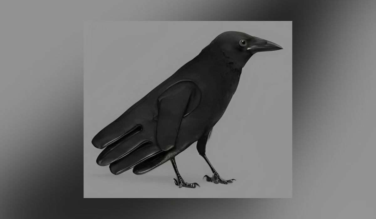 Descubre cuáles son tus fortalezas según veas un guante o un cuervo en este test visual (Foto: GenialGuru).