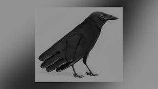 Test visual: descubre todas tus fortalezas, según veas un guante o un cuervo aquí