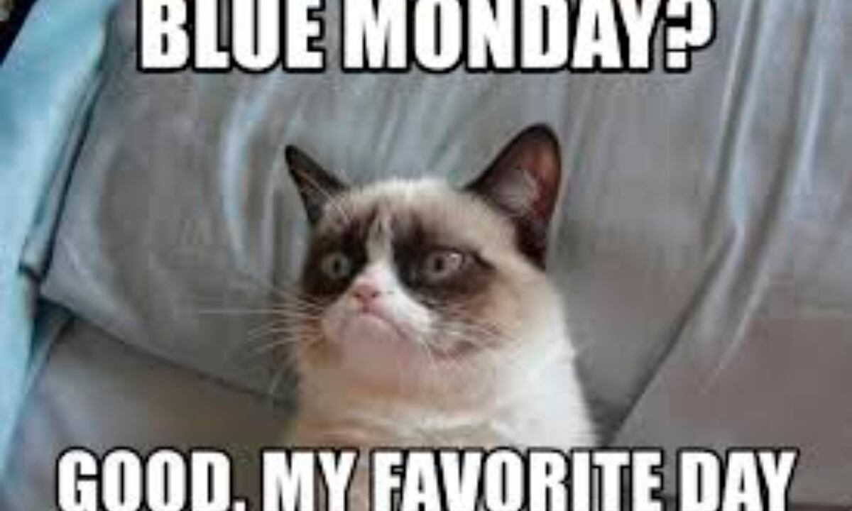 Memes por Blue Monday.