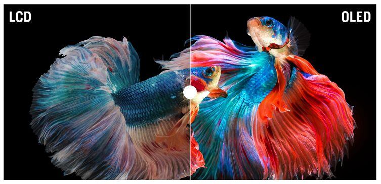 Comparativas OLED vs. LCD