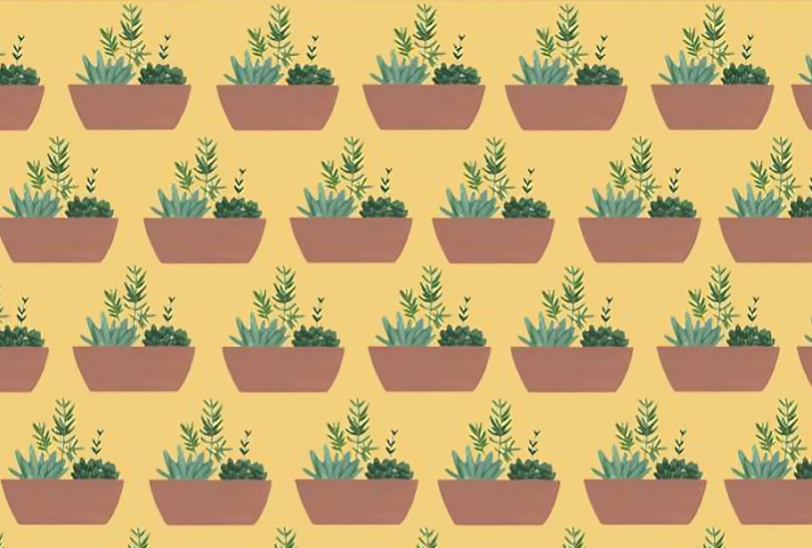 Reto visual: Localiza al gato camuflado entre las plantas en 6 segundos o menos: solo los más minuciosos lo logran (Foto: GenialGuru)