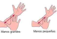Test de personalidad: el tamaño de tu mano revelará tu liderazgo y rebeldía aquí
