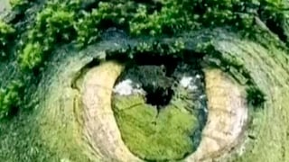 Esta ilusión óptica te podrá revelar cuál es tu miedo más profundo