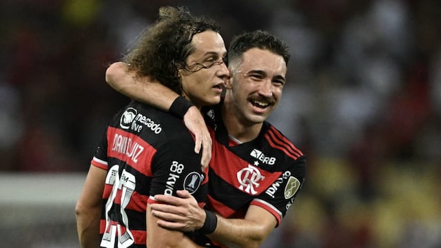 Millonarios vs Flamengo (0-3): goles, resumen y video por la Copa Libertadores 2024
