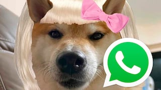 WhatsApp: los mejores memes “Coquette” que puedes enviar a tus amigos