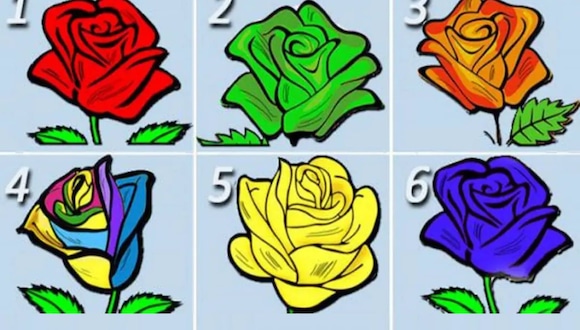 TEST VISUAL | En esta imagen hay varias rosas. Indica cuál es tu preferida. (Foto: namastest.net)