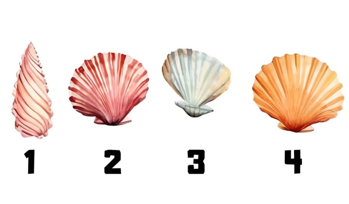 Elige uno de los caracoles en este test visual y descubre si eres una persona vehemente (Foto: GenialGuru).