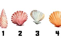 Test visual: escoge un caracol marino y conoce si eres una persona vehemente aquí