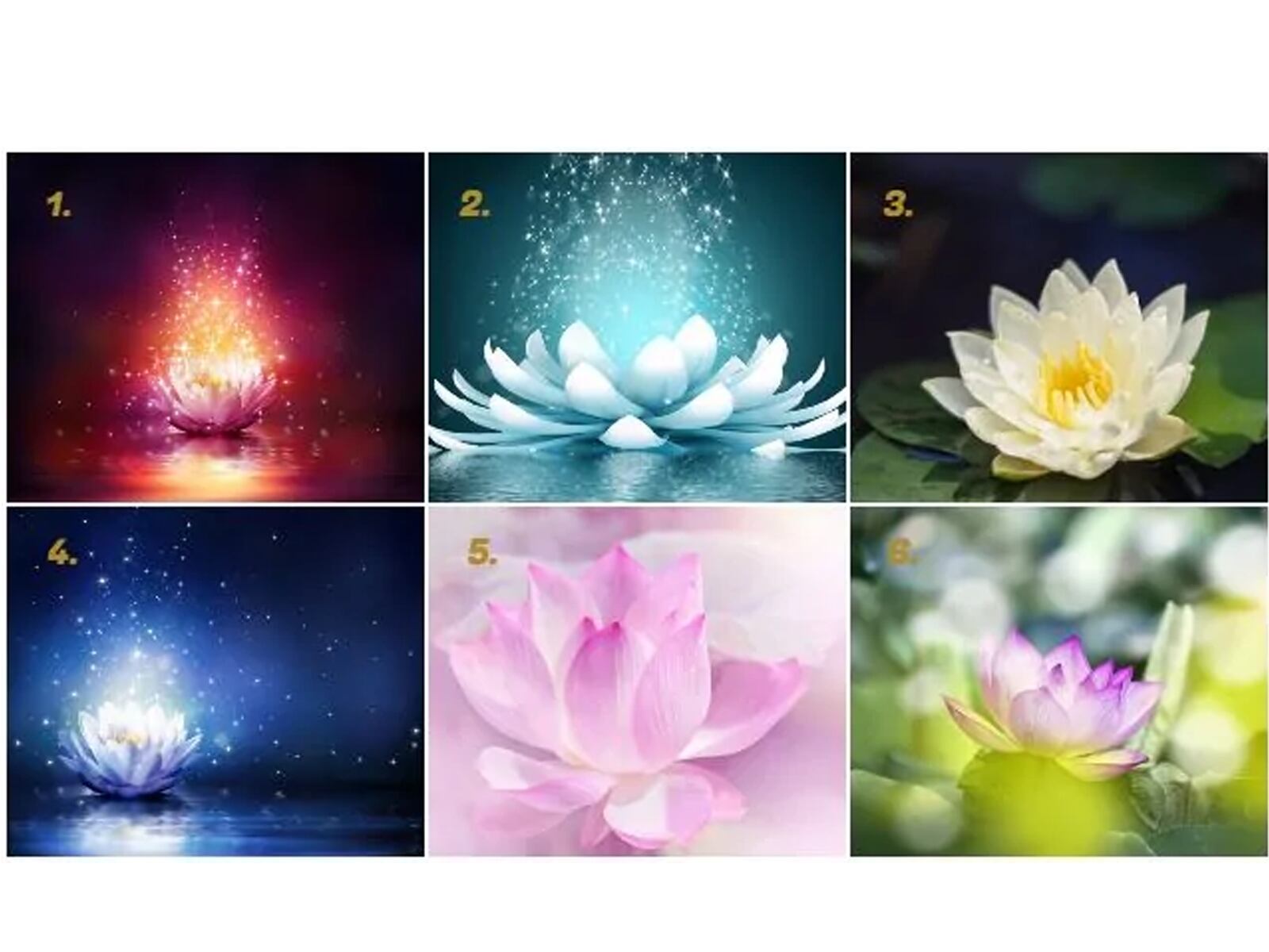 Este test visual te invita a elegir una de las seis flores de loto que se presentan. Cada una de ellas tiene un significado especial que te brindará una guía personalizada sobre las decisiones que debes tomar en tu vida actual.