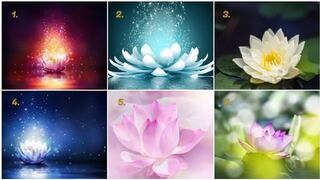 ¿Quieres saber qué decisiones tomar en tu vida actual? Elige una flor de loto y recibe una guía personalizada