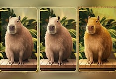 Choose one of the capybaras in the image to find out what type of personality you have