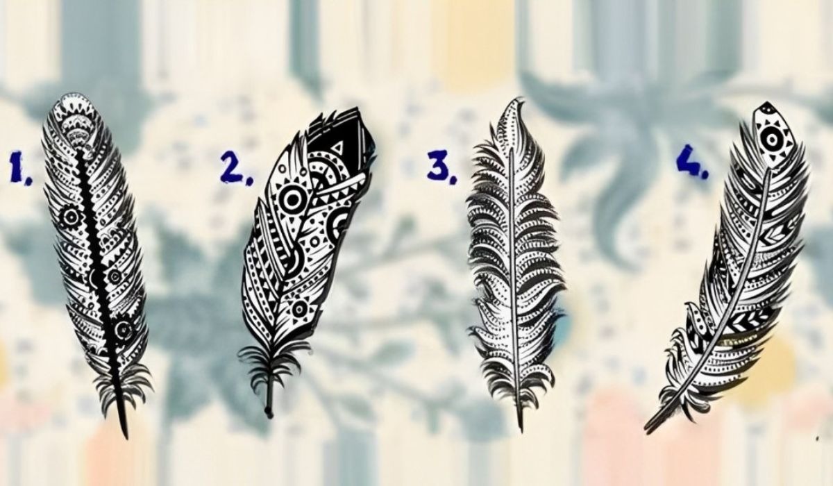 Test de personalidad: descubre cuál es tu misión en la vida según la pluma que elijas en esta imagen (Foto: Namastest).