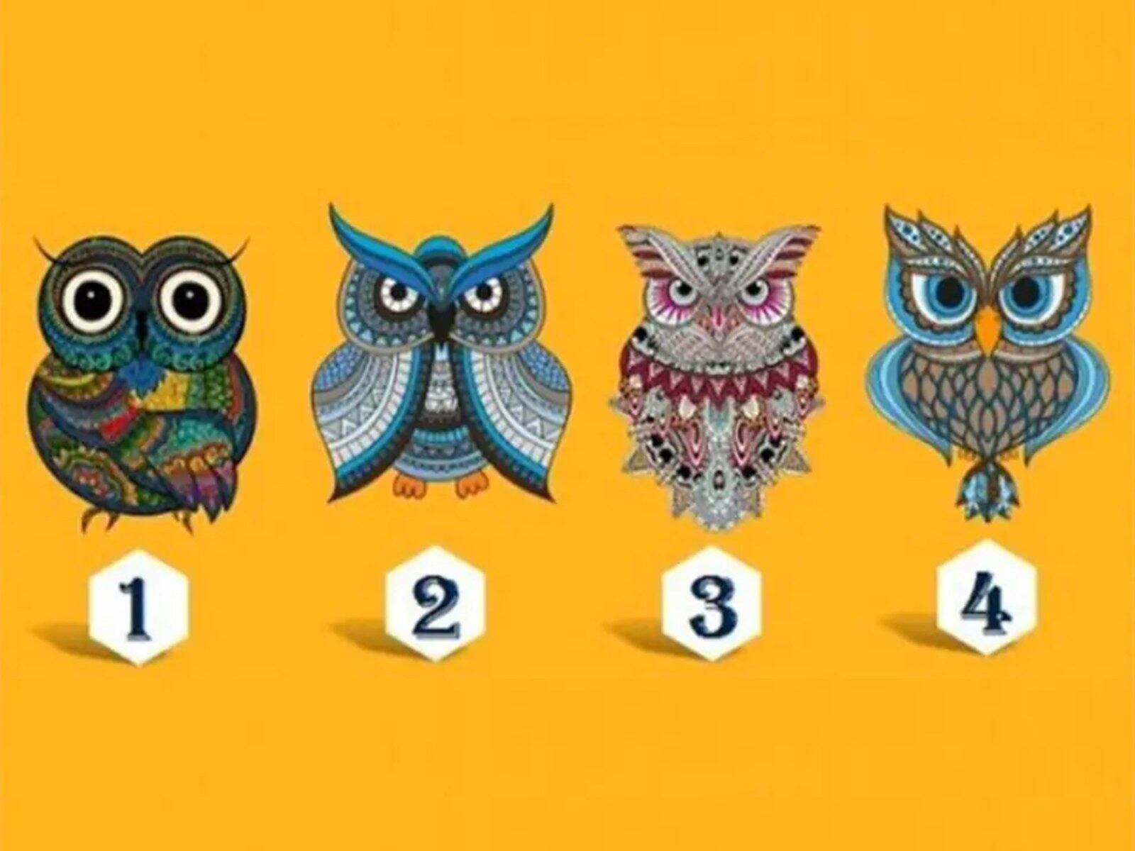 TEST VISUAL | Esta imagen te muestra cuatro búhos. Tienes que seleccionar uno. (Foto: namastest.net)