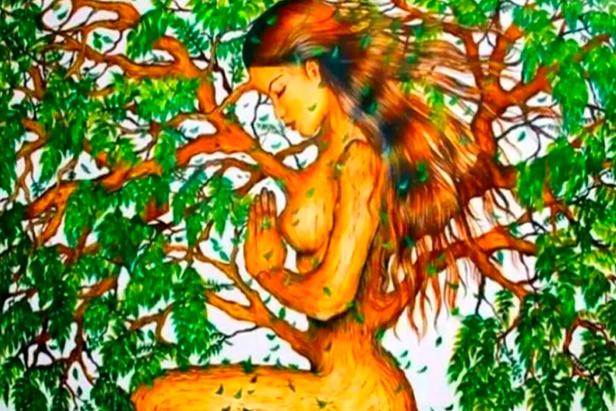 Solo mira la imagen y luego de unos segundos responde si viste una muje ro un árbol para conocer los resultados del test de personalidad.| Foto: namastest